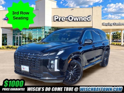 2025 Hyundai Palisade Calligraphy Night Edition